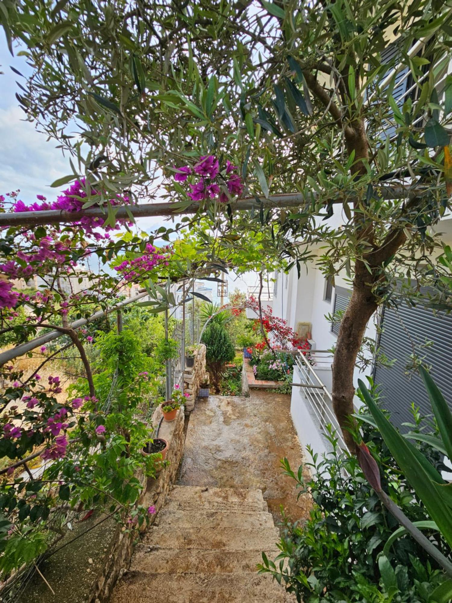 Nora'S Guesthouse Sarandë Buitenkant foto